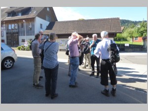 20200701 01 Graeslikon.jpg